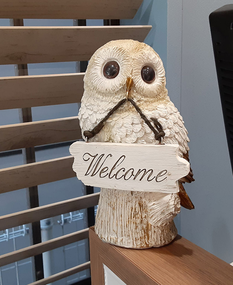 コンセプトイメージ